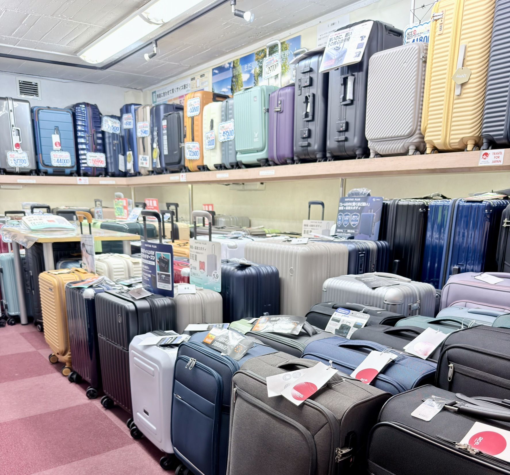 マスヤバッグ店内に並ぶ豊富なスーツケース